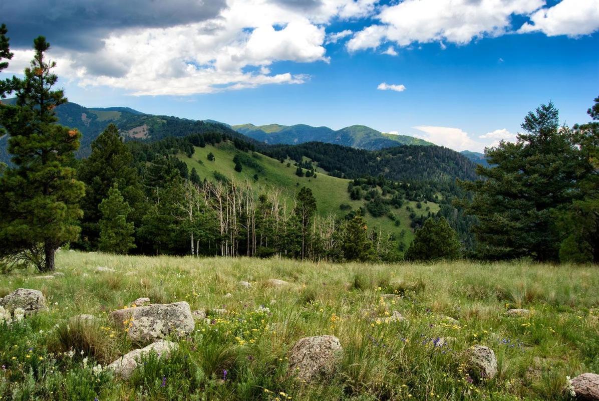 Oso Blanco Villa Ruidoso Exteriör bild