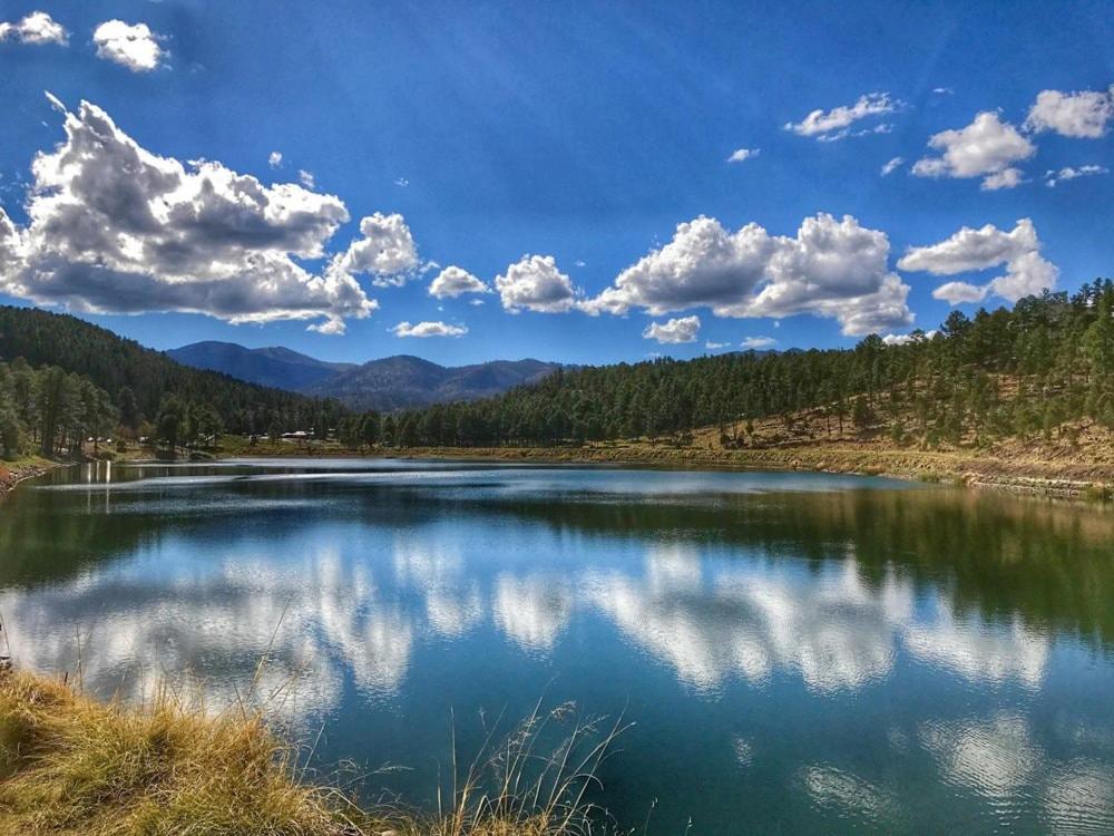 Oso Blanco Villa Ruidoso Exteriör bild